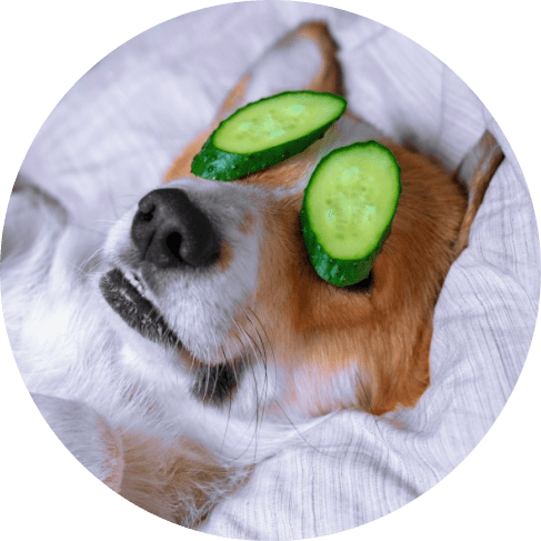 Mask Grюлдроиoup-min