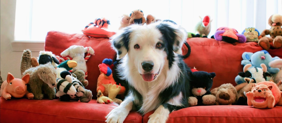 lotsoftoys-min