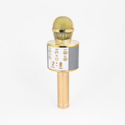 Karaoke Microphone for kids and adults